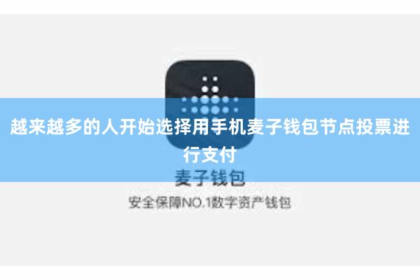 越来越多的人开始选择用手机麦子钱包节点投票进行支付
