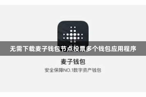 无需下载麦子钱包节点投票多个钱包应用程序