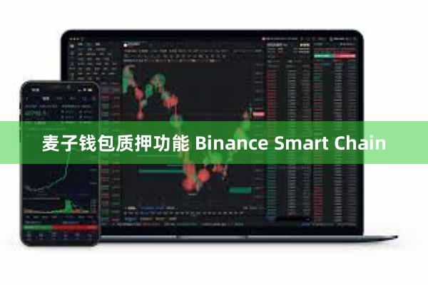 麦子钱包质押功能 Binance Smart Chain