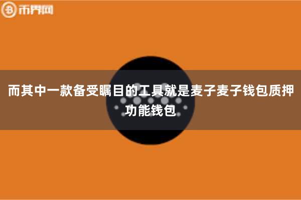 而其中一款备受瞩目的工具就是麦子麦子钱包质押功能钱包