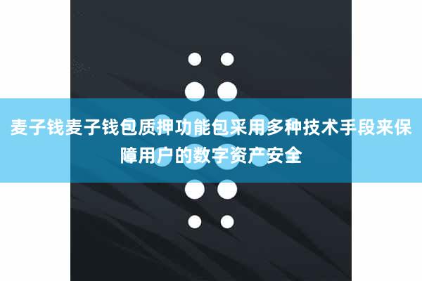 麦子钱麦子钱包质押功能包采用多种技术手段来保障用户的数字资产安全