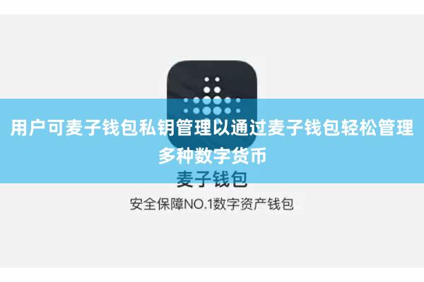 用户可麦子钱包私钥管理以通过麦子钱包轻松管理多种数字货币