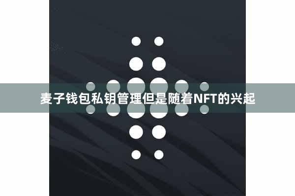 麦子钱包私钥管理但是随着NFT的兴起