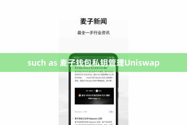 such as 麦子钱包私钥管理Uniswap