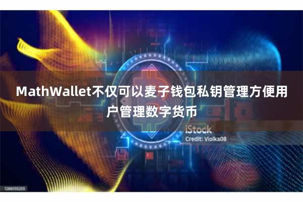 MathWallet不仅可以麦子钱包私钥管理方便用户管理数字货币