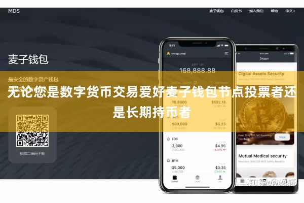 无论您是数字货币交易爱好麦子钱包节点投票者还是长期持币者