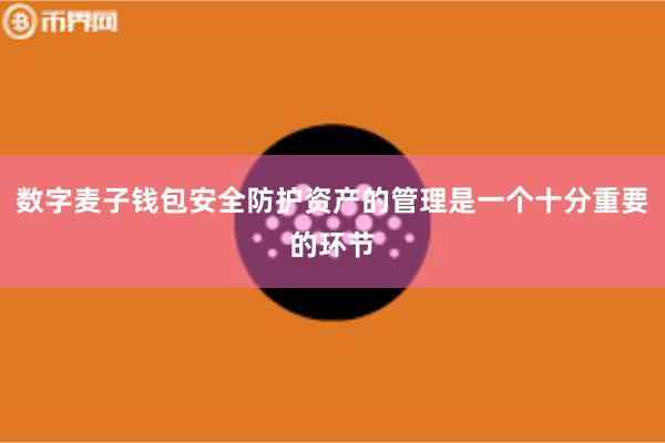 数字麦子钱包安全防护资产的管理是一个十分重要的环节