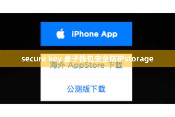 secure key 麦子钱包安全防护storage