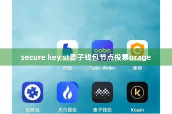 secure key st麦子钱包节点投票orage