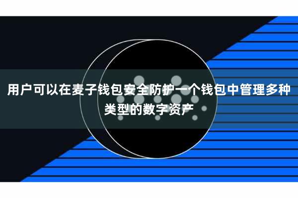用户可以在麦子钱包安全防护一个钱包中管理多种类型的数字资产