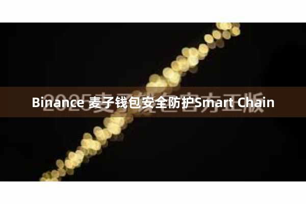 Binance 麦子钱包安全防护Smart Chain
