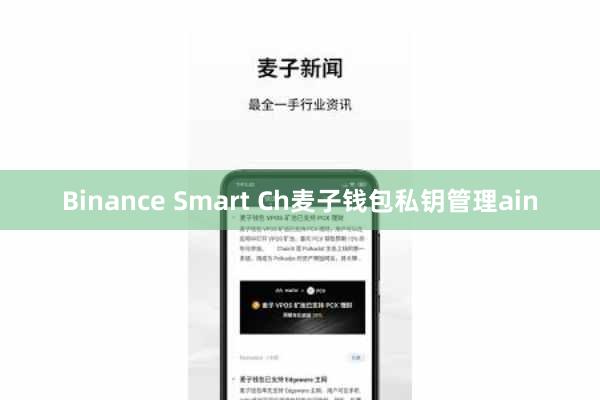 Binance Smart Ch麦子钱包私钥管理ain