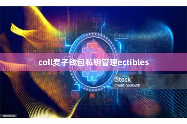 coll麦子钱包私钥管理ectibles