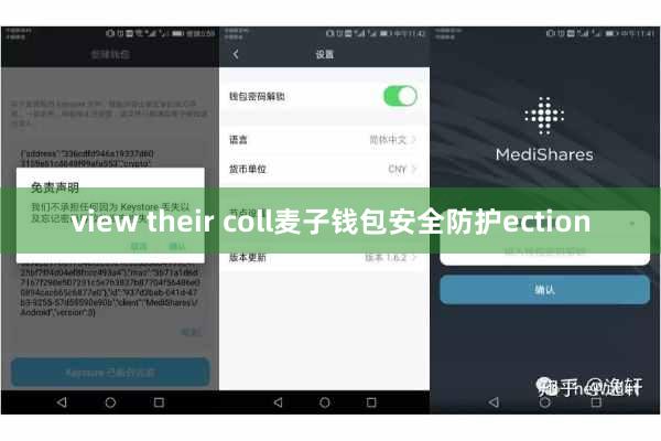 view their coll麦子钱包安全防护ection