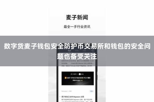 数字货麦子钱包安全防护币交易所和钱包的安全问题也备受关注
