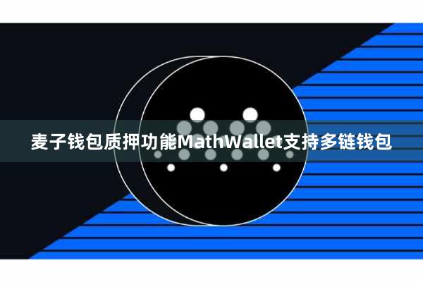 麦子钱包质押功能MathWallet支持多链钱包