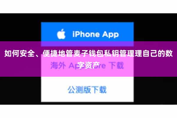 如何安全、便捷地管麦子钱包私钥管理理自己的数字资产