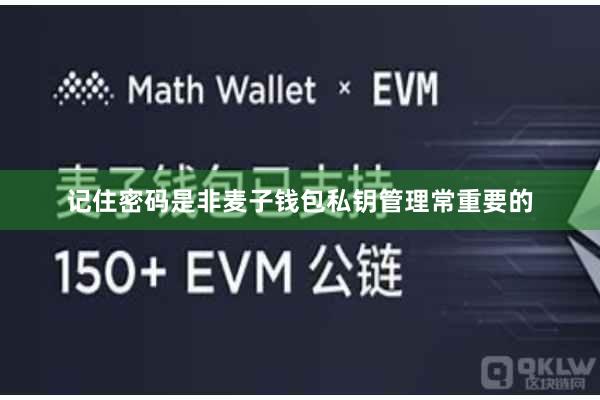 记住密码是非麦子钱包私钥管理常重要的