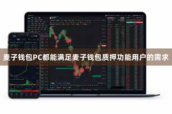 麦子钱包PC都能满足麦子钱包质押功能用户的需求