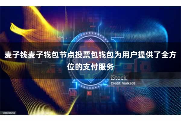 麦子钱麦子钱包节点投票包钱包为用户提供了全方位的支付服务