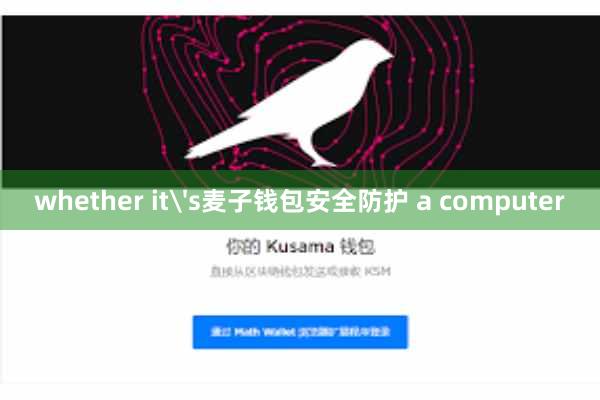 whether it's麦子钱包安全防护 a computer