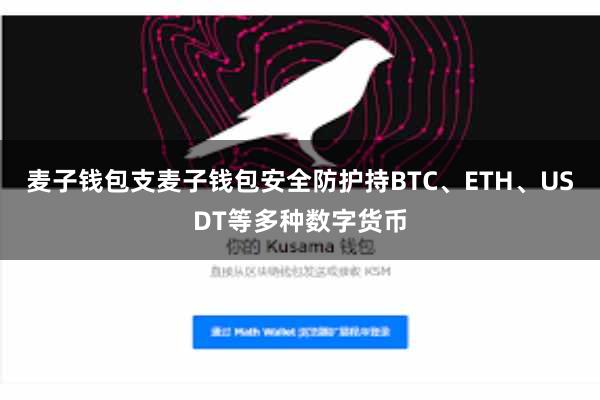 麦子钱包支麦子钱包安全防护持BTC、ETH、USDT等多种数字货币