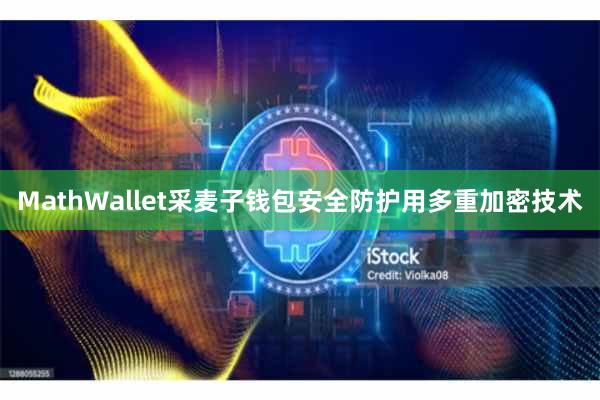 MathWallet采麦子钱包安全防护用多重加密技术
