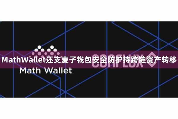 MathWallet还支麦子钱包安全防护持跨链资产转移