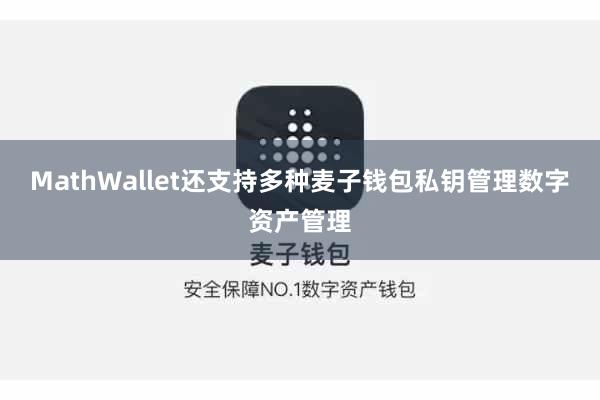 MathWallet还支持多种麦子钱包私钥管理数字资产管理