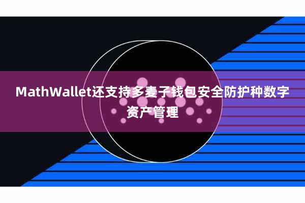 MathWallet还支持多麦子钱包安全防护种数字资产管理